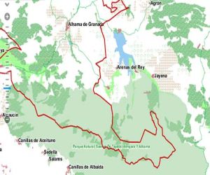 Historia de Jayena; deslinde Jayena, Arenas del Rey y Alhama