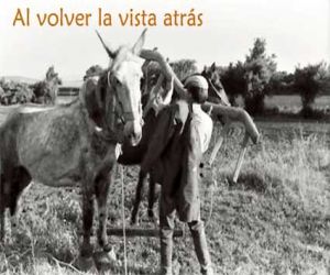 El niño yuntero