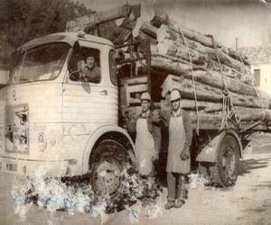 Historia: La Resinera de Fornes, vida y tradición de una industria (II) 