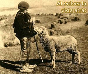 Trabajo infantil