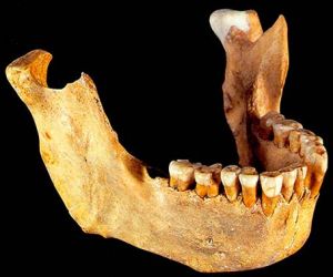 La cueva de Zafarraya y la mandíbula del neandertal 