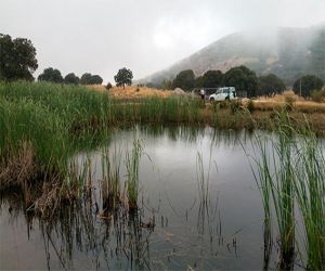 Se propone incluir la Laguna del Puerto de Zafarraya en el Inventario de Humedales de Andalucía 