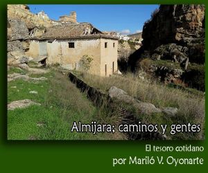 El tesoro cotidiano