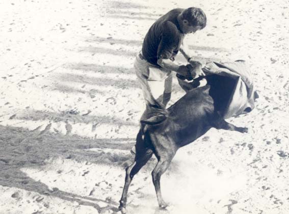  Y... como los franceses vienen en plenas fiestas de junio podrán ver los toros en Alhama, pero además aquí tienen una imagen de su alcalde Rolland Castels toreando una vaquilla en uno de los primeros intercambios del hermanamiento, allá por 1994 