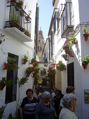 En el Callejon de las flores, Cordoba