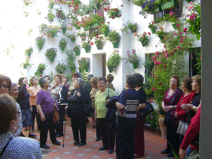 Patios de Cordoba