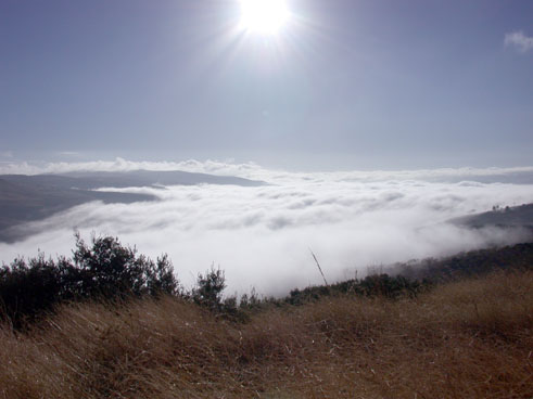 Rio y Tajos del Cacin bajo la niebla matinal