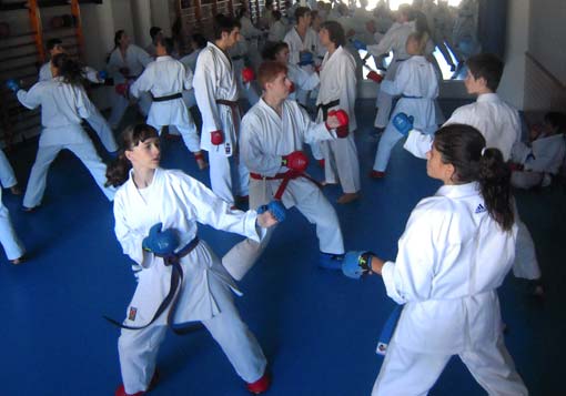 Entrenamientos y curso de goshin Entrenamientos y curso de goshin