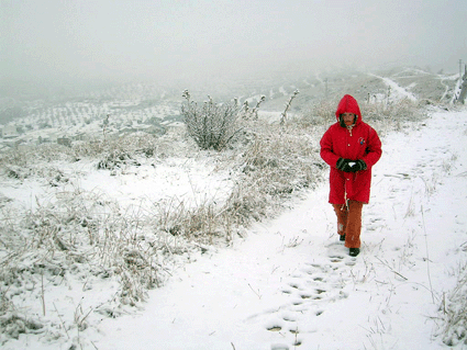 La cordillera de Fornes cubierta de nieve