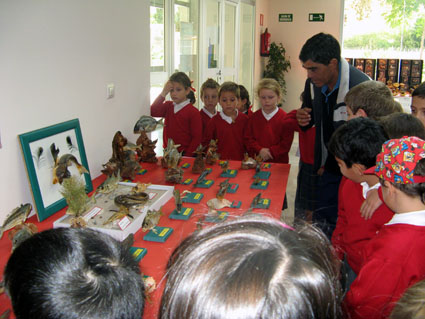 Junto a los peces liofilizados 