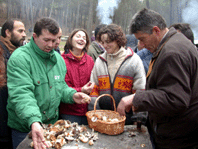 Reconocimiento de los ejemplares recogidos