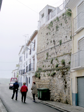 Paño de la muralla árabe