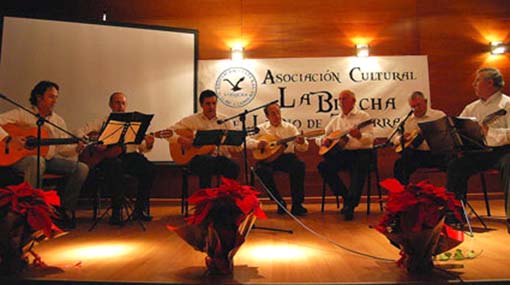 Los Amigos de la Púa volvieron a demostrar su buen hacer musical Los Amigos de la Púa volvieron a demostrar su buen hacer musical