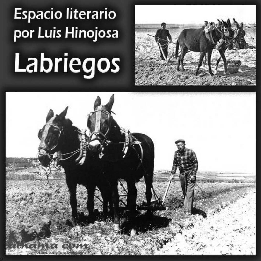 Labriegos