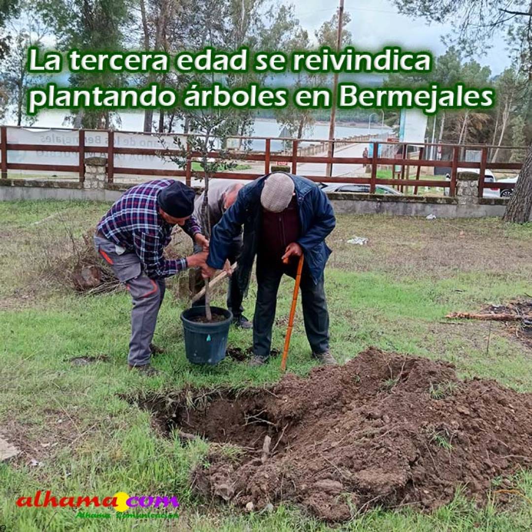La tercera edad se reivindica plantando árboles en Bermejales