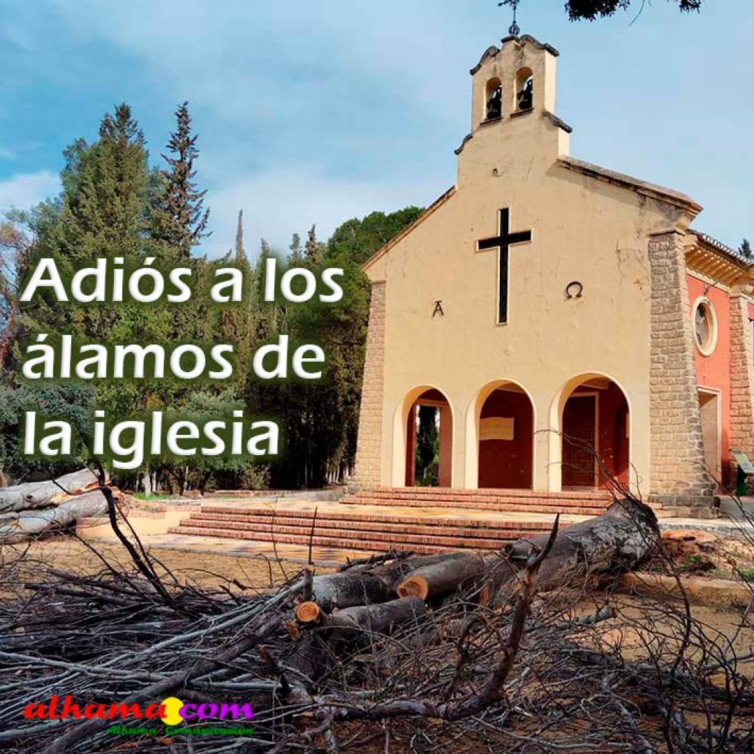 Los Bermejales: Adiós a los álamos de la iglesia